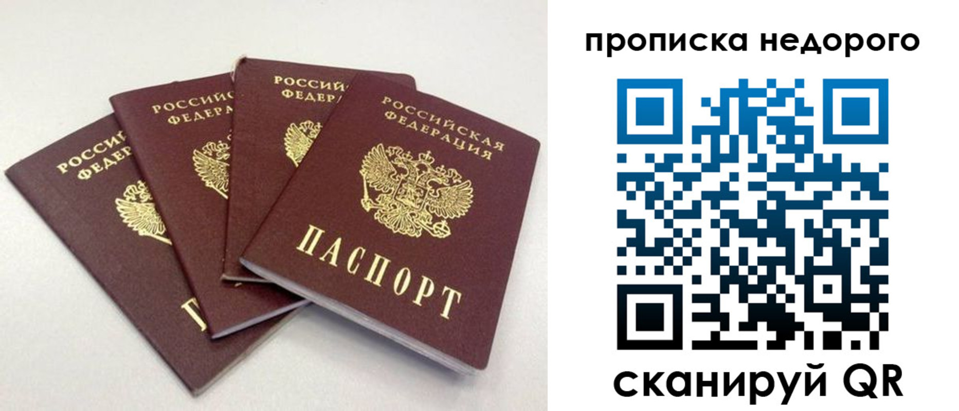 прописка законно в Барыше